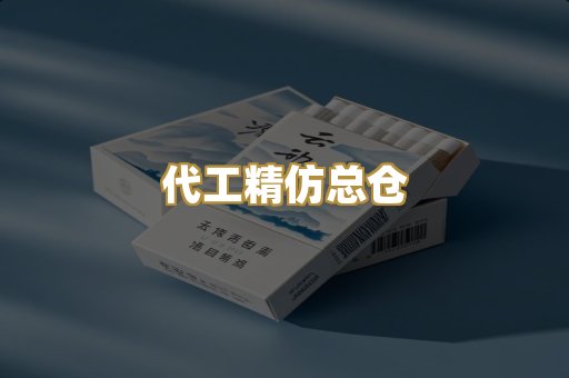 代工精仿总仓